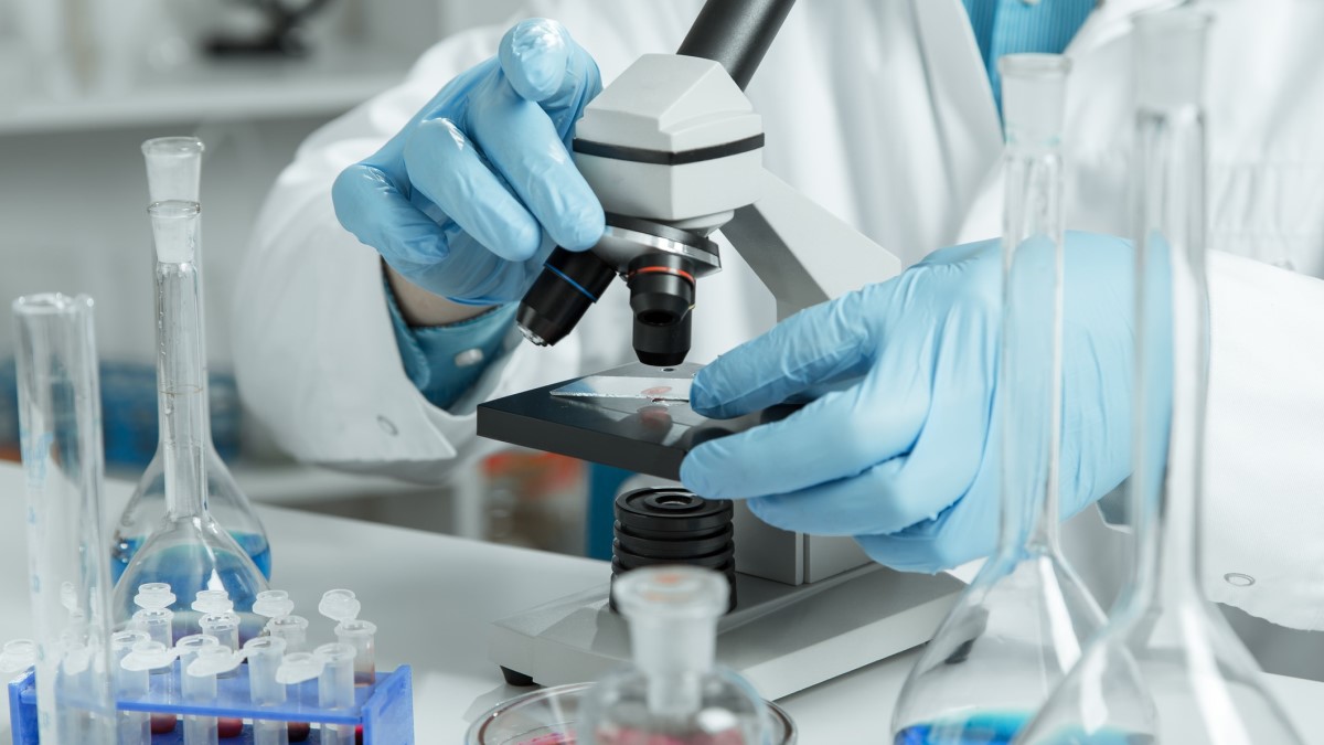 How Pathology Labs ensure accurate test results